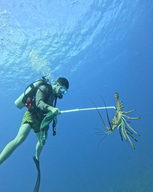 Aidan scuba diving
